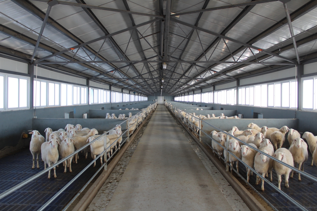 當(dāng)好產(chǎn)業(yè)扶貧主力軍，打贏(yíng)脫貧攻堅(jiān)戰(zhàn)