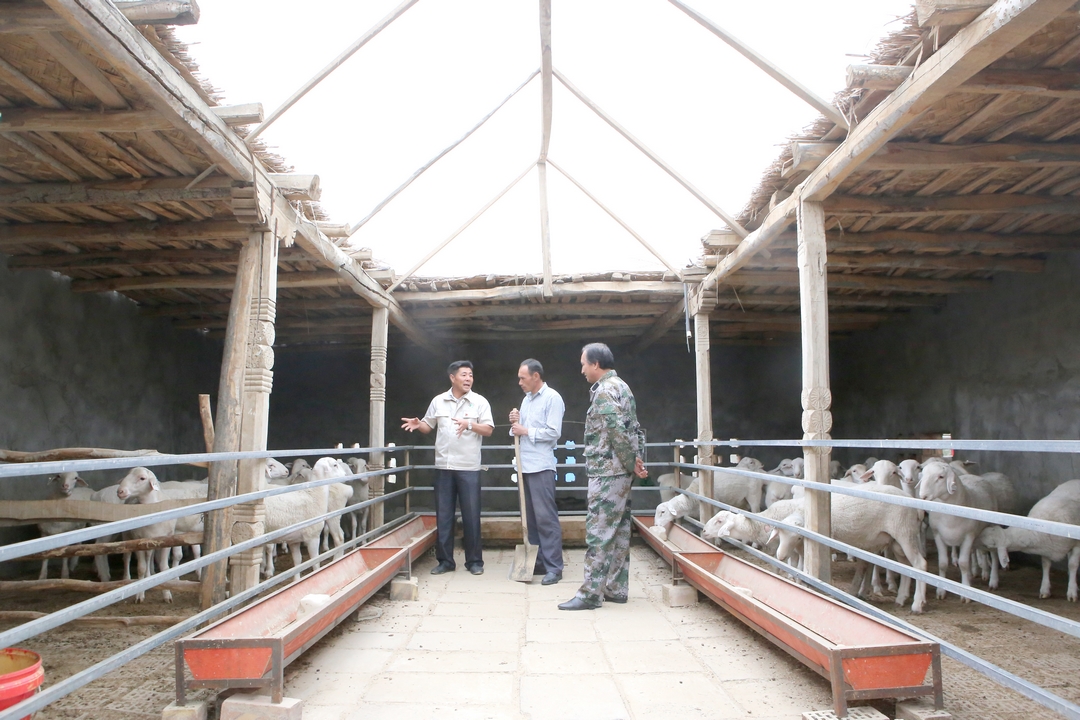 當(dāng)好產(chǎn)業(yè)扶貧主力軍，打贏(yíng)脫貧攻堅(jiān)戰(zhàn)