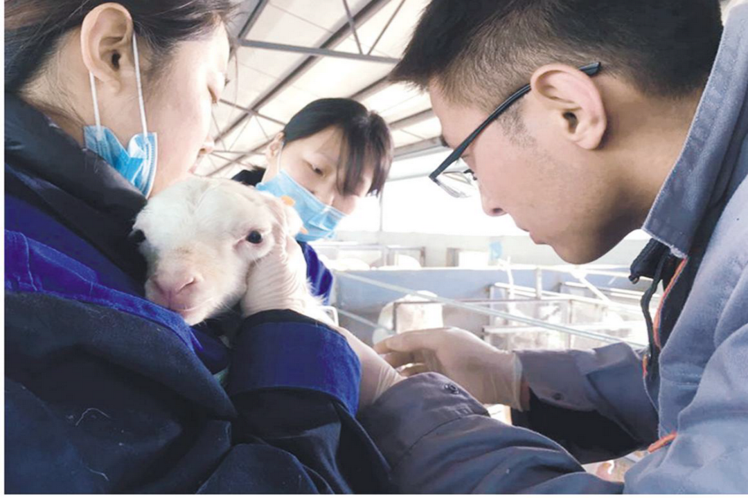 當(dāng)好產(chǎn)業(yè)扶貧主力軍，打贏(yíng)脫貧攻堅(jiān)戰(zhàn)